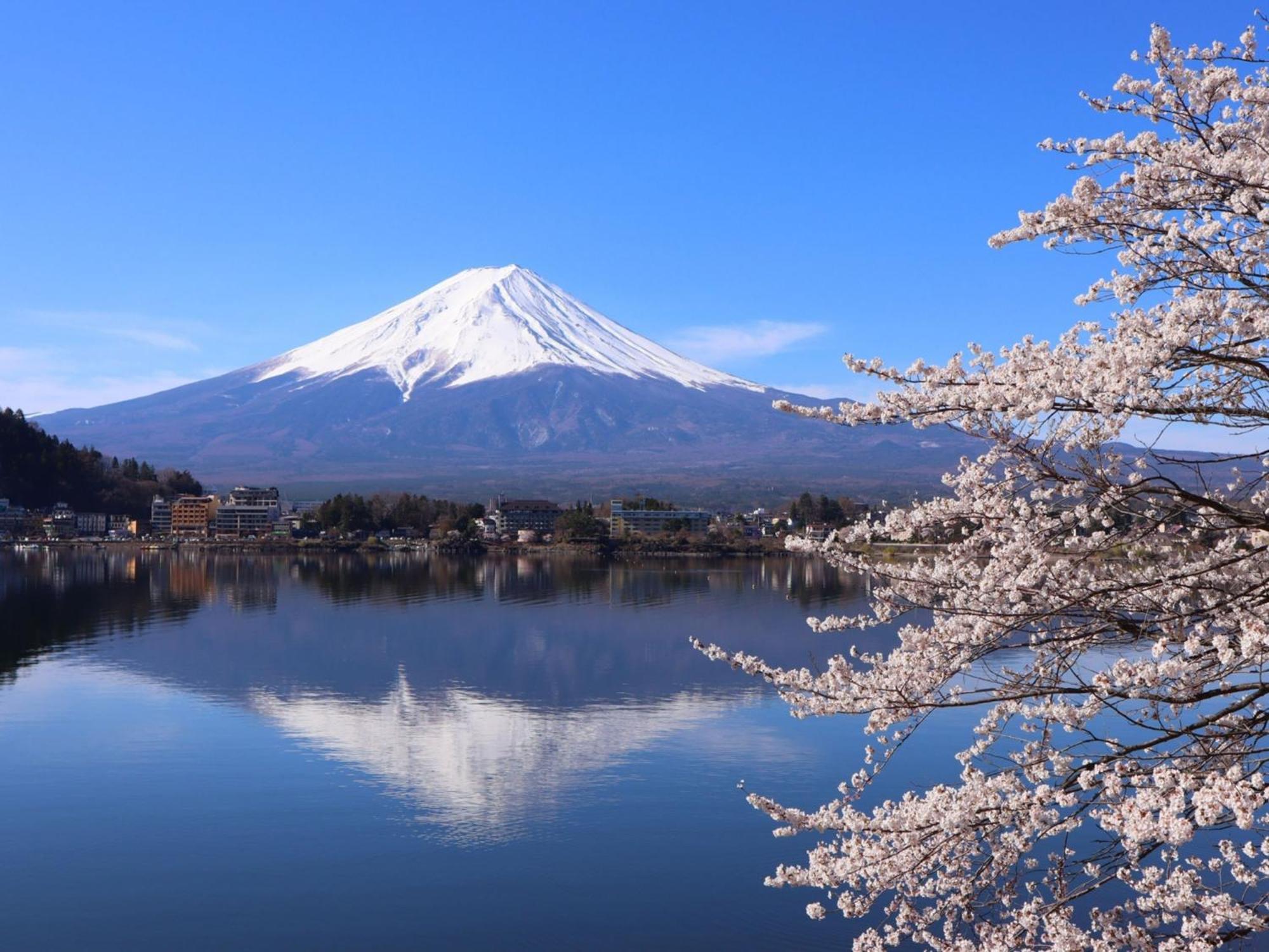 Rakuten Stay Villa Fuji Kawaguchiko Forest 2Ldk With Sauna And Terrace 후지카와구치코 외부 사진